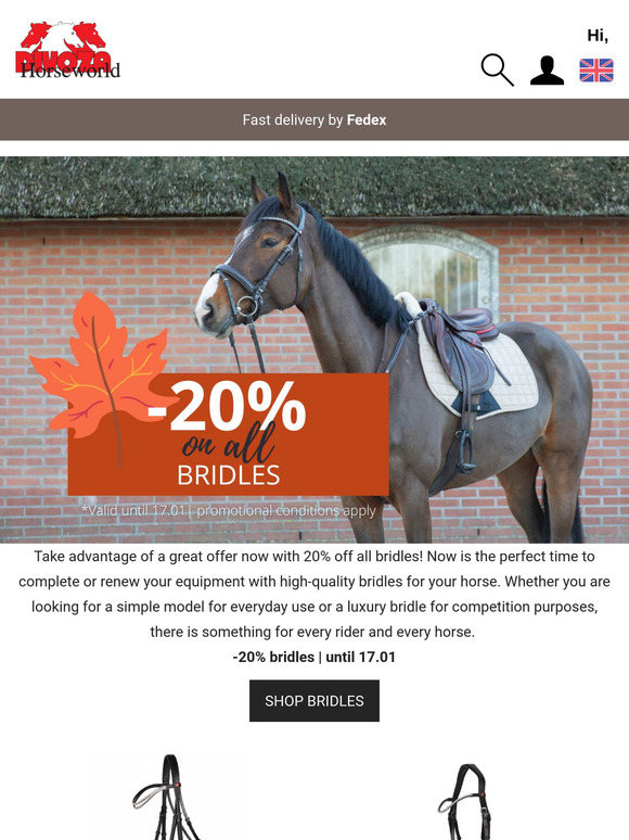 BridleWeek + Bridle advice! 👍