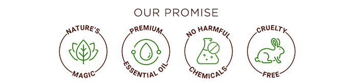 our promis