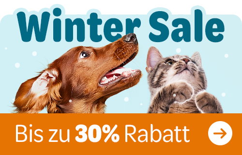 Winter Sale