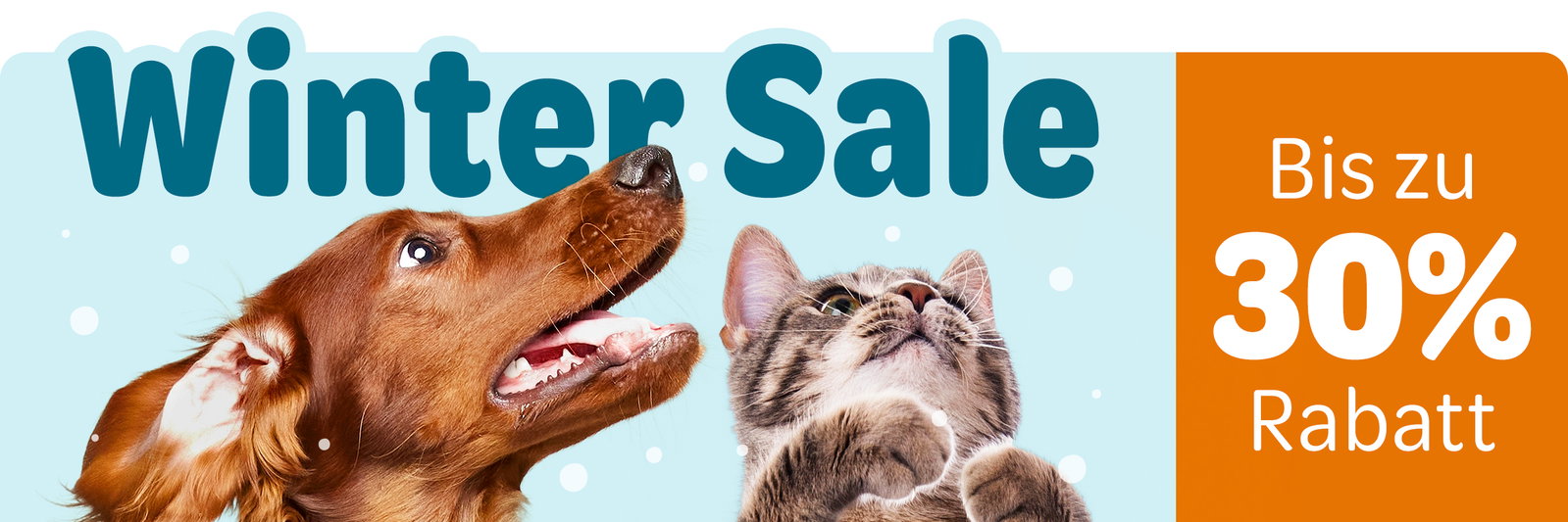 Winter Sale