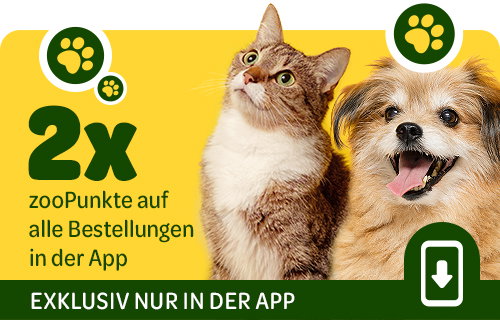 Doppelte zooPunkte