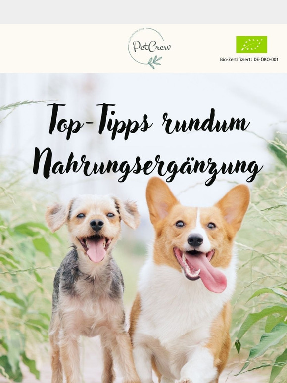 Top-Tipps für die Gesundheit deines Hundes 🐶🍏