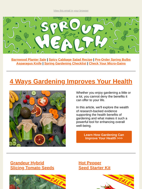 🌱 Get Ready for Spring! Bulbs, Checklists & Healthy Gardening Tips | TLM Newsletter