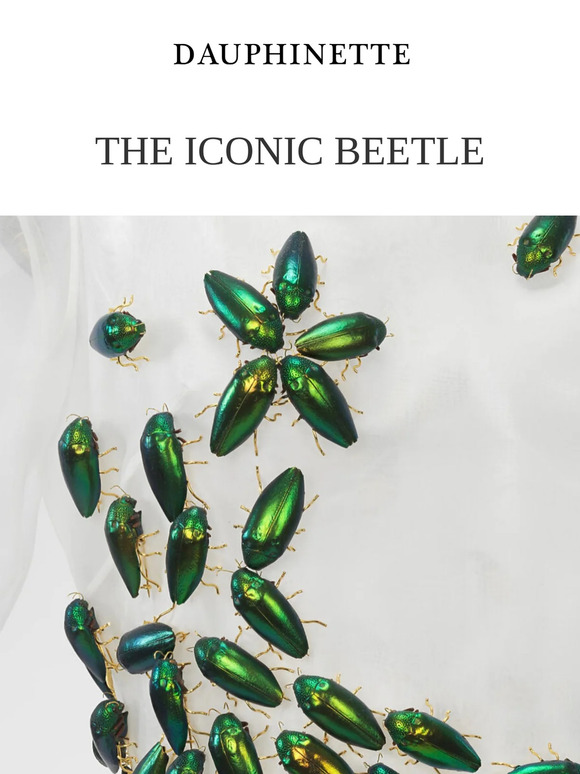Beetle Pins on Sale | Shop Imperfect Happy Beetle Pins