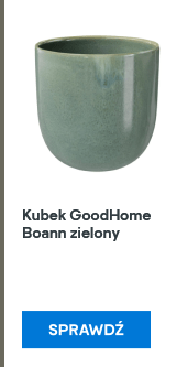 Kubek GoodHome Boann zielony