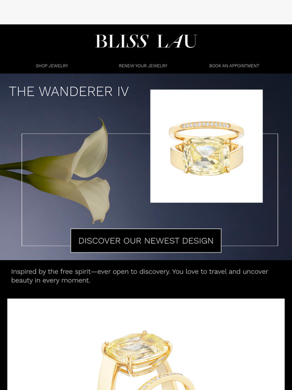 Discover the One-of-a-Kind Wanderer IV