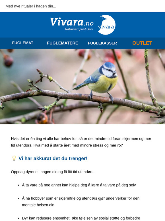 Begynn året med mindre stress 🧘‍♀️