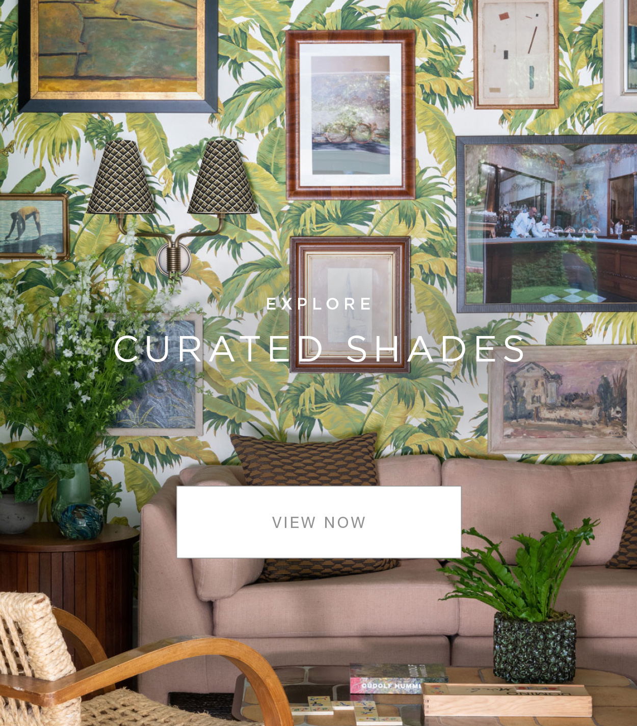 Curated Shades