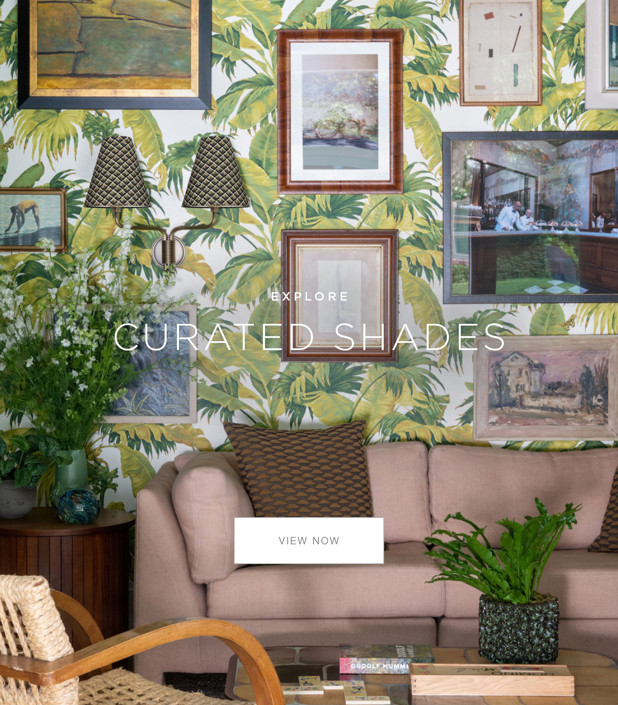 Curated Shades