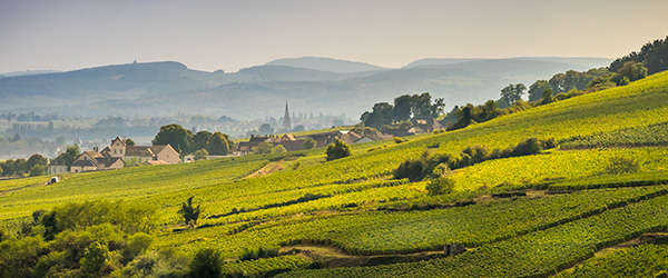 Village