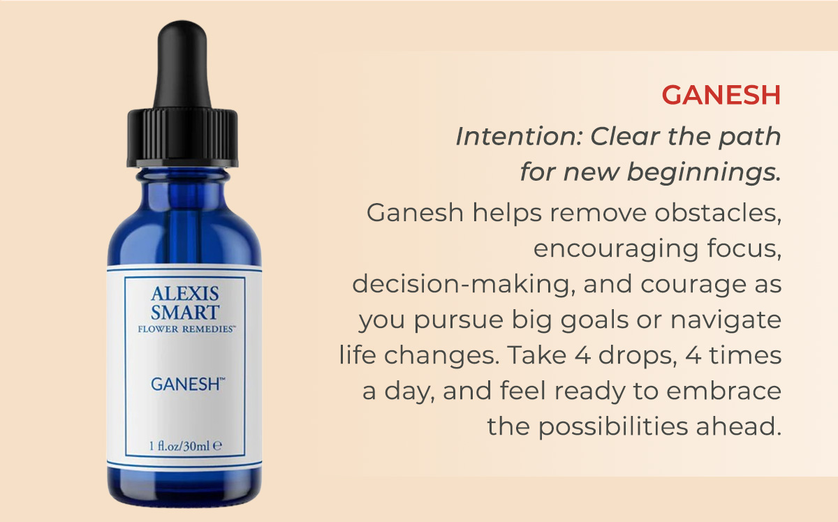 Ganesh | Intention: Clear the path for new beginnings.