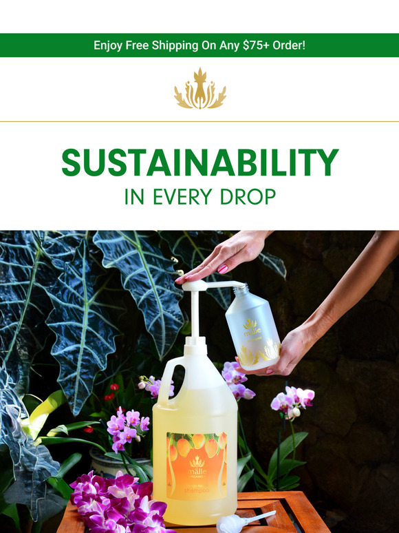 Eco-Aloha: Sustainability in Every Drop