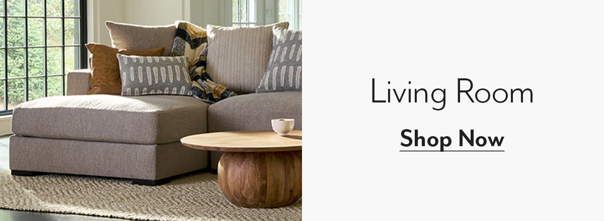 Shop Living Room