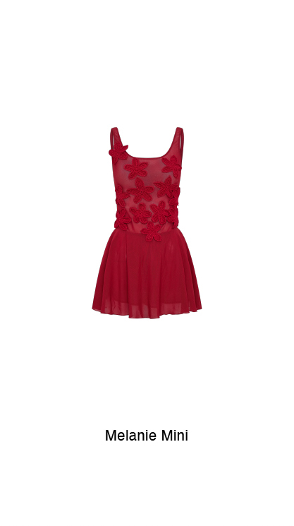 Melanie Mesh Mini Dress With Flowers - Ruby