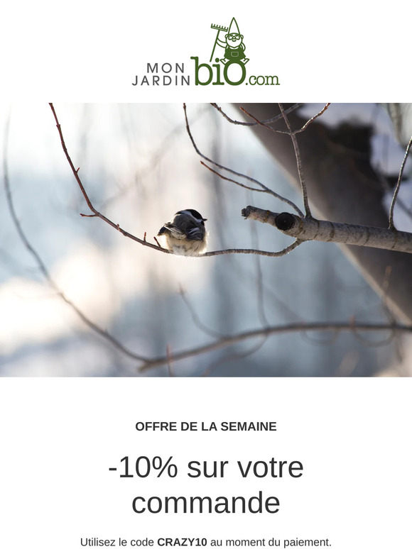 🔴 Promo givrée ➡️ -10% sur toute la boutique jusqu'à dimanche