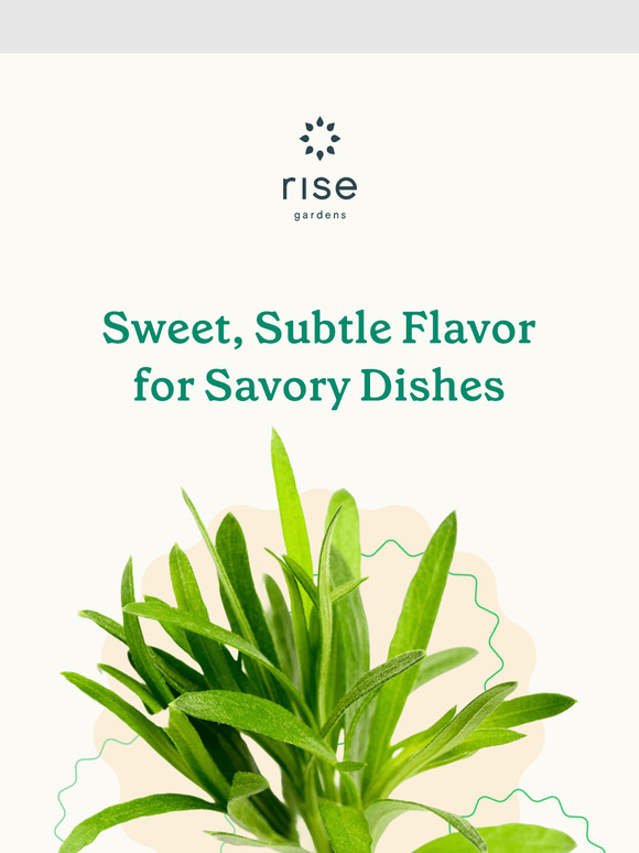 Add a Touch of Europe to Your Fall Dishes!
