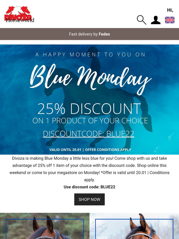 Blue Monday Weekend  💙 -25% on 1 product