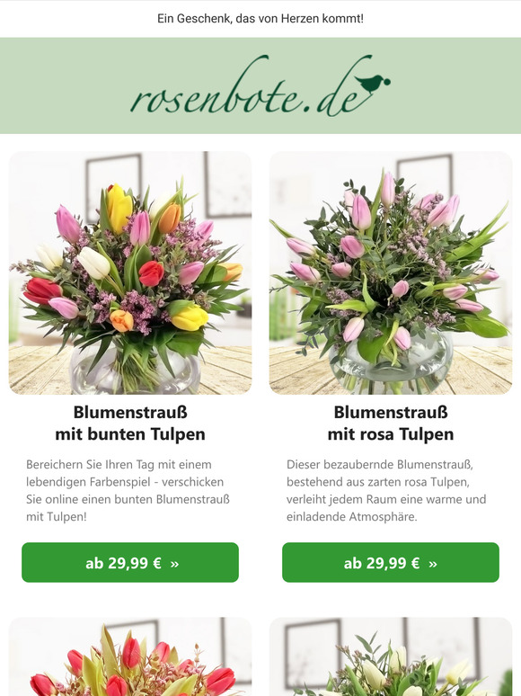 🌷 Tulpenzauber im Januar – Frische Farben für graue Tage!
