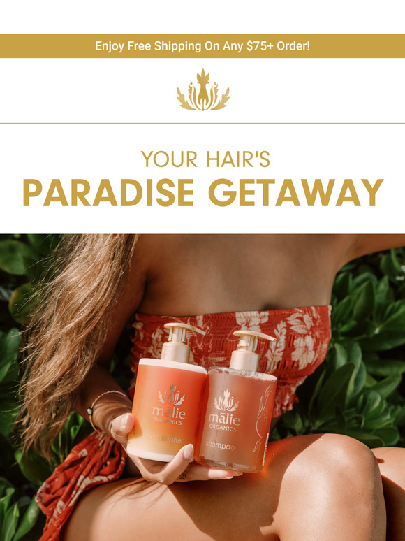 Your Hair's Paradise Getaway