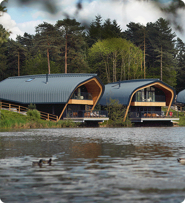 Forest adventures await…
