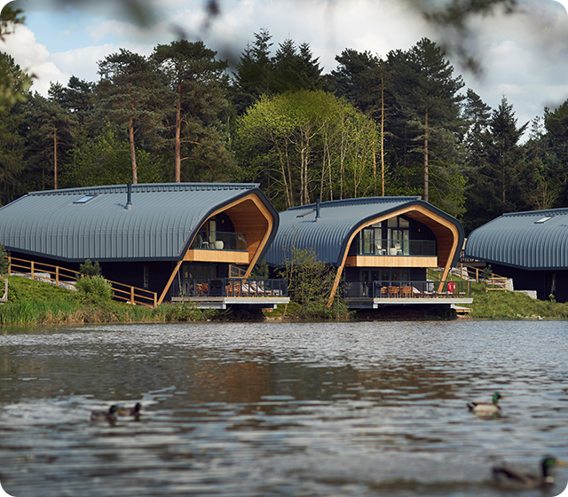 Elveden Forest, Suffolk