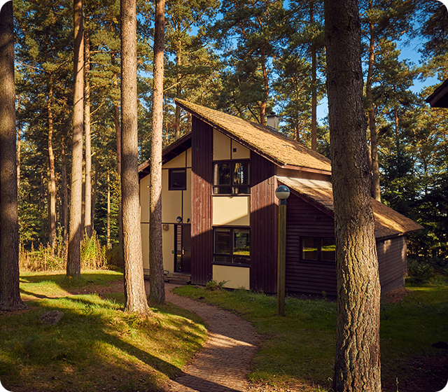Whinfell Forest, Cumbria
