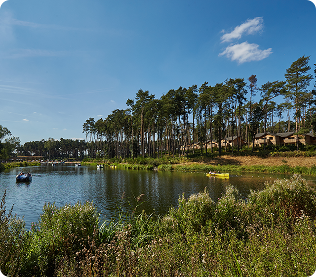 Woburn Forest, Bedfordshire