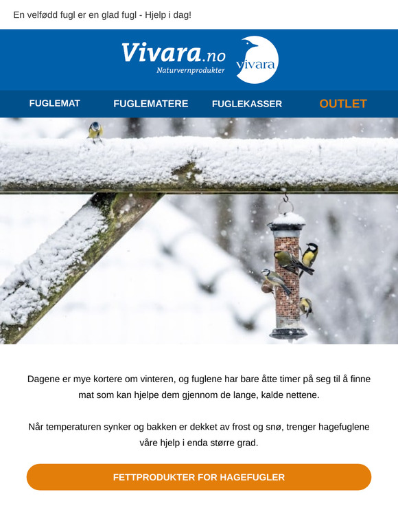 Vinterens favoritt blant fugler - 10 % rabatt nå! ❄