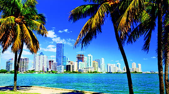 Vue sur ville de Miami, avec gratte-ciels au bord de l'eau avec en premier plan, sable blanc et cocotier