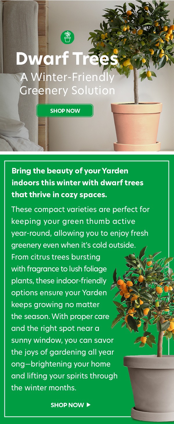 Dwarf Fruit Trees