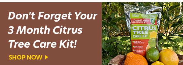 Care Kits