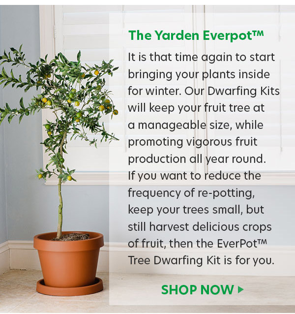 Yarden Everpot