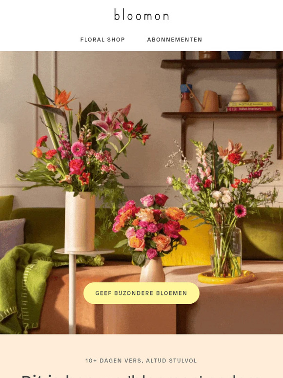 Waarom bloomon?