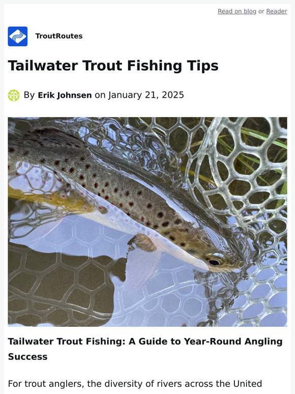 Tailwater Trout Fishing Tips