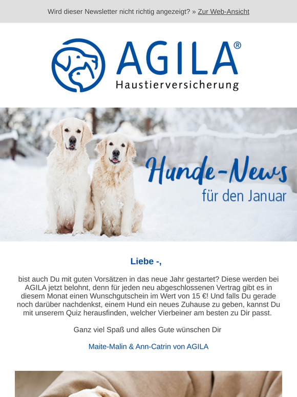 ➔ Diese Rasse passt zu Dir! Jetzt herausfinden 🐶