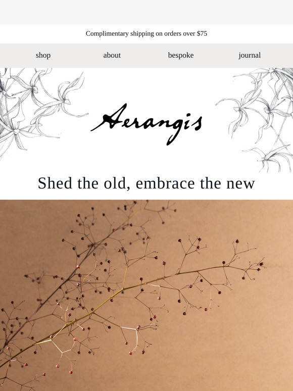 Welcoming the year of transformation