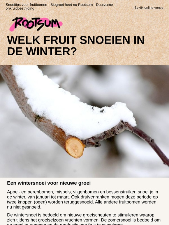 Een wintersnoei voor nieuwe groei | Biogroei heet nu Rootsum