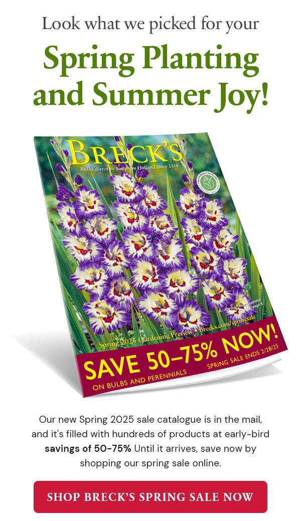 Spring Sale Catalogue