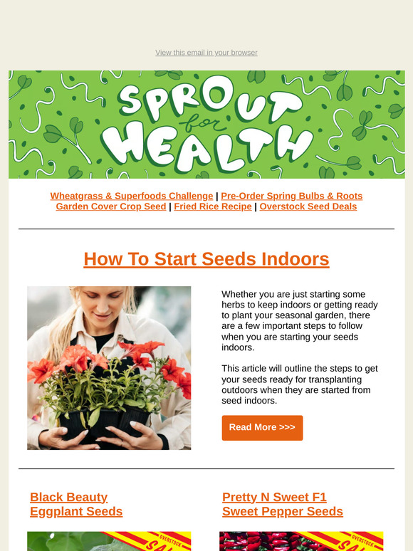 Set Your Seeds Up for Success: Indoor Starting Tips | TLM Newsletter