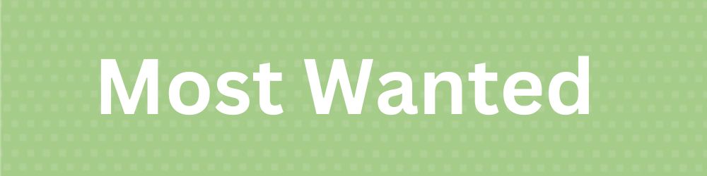 Most Wanted Toys