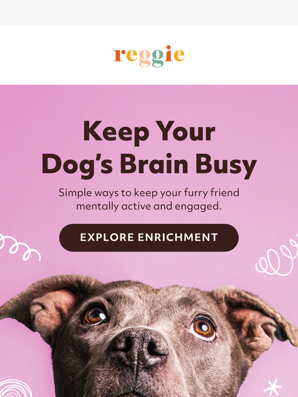 Keep Your Pup’s Mind Sharp