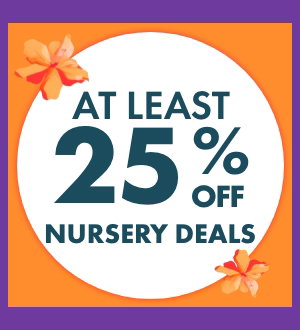 At least 25% OFF Nursery