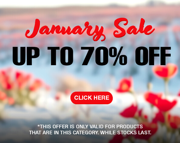 January Sale