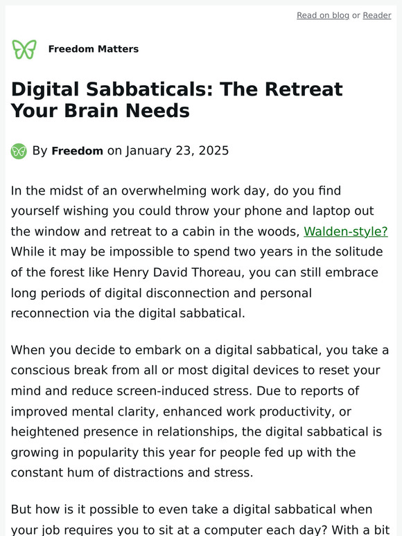 Digital Sabbaticals: The Retreat Your Brain Needs