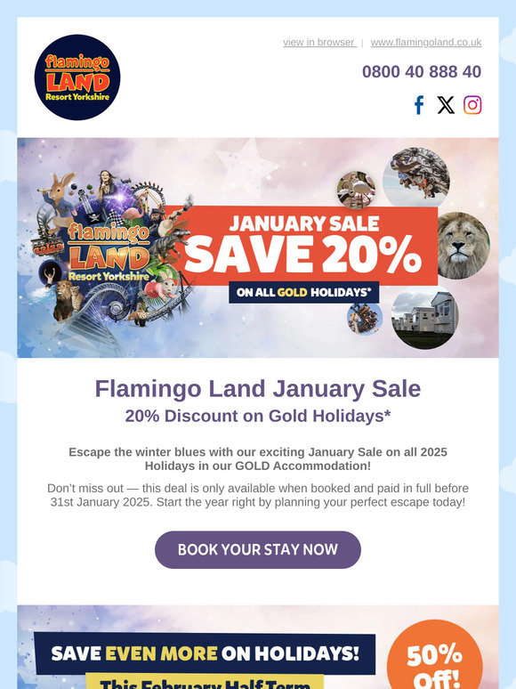 January Holiday Sale