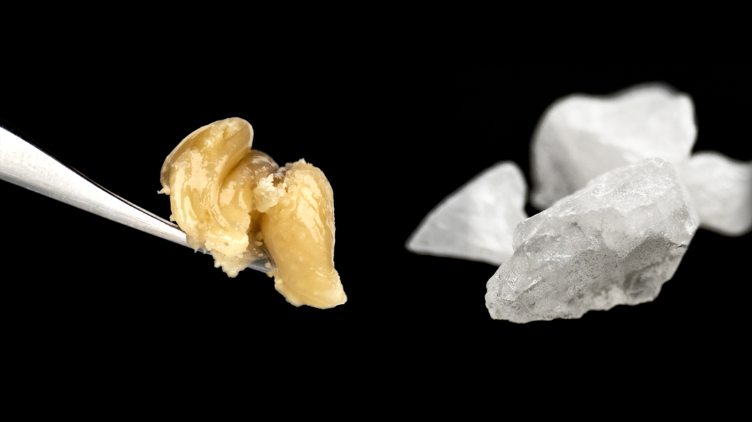 Concentrates