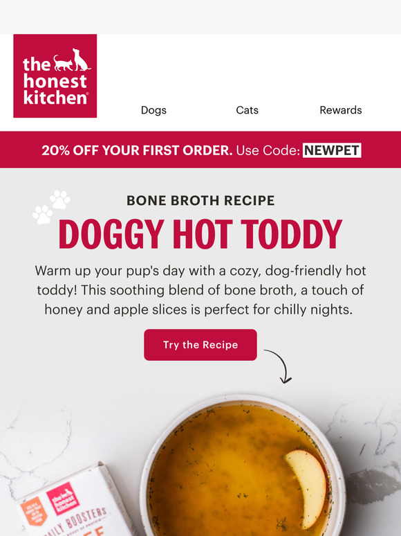 Pup-Friendly Hot Toddy Recipe ☕