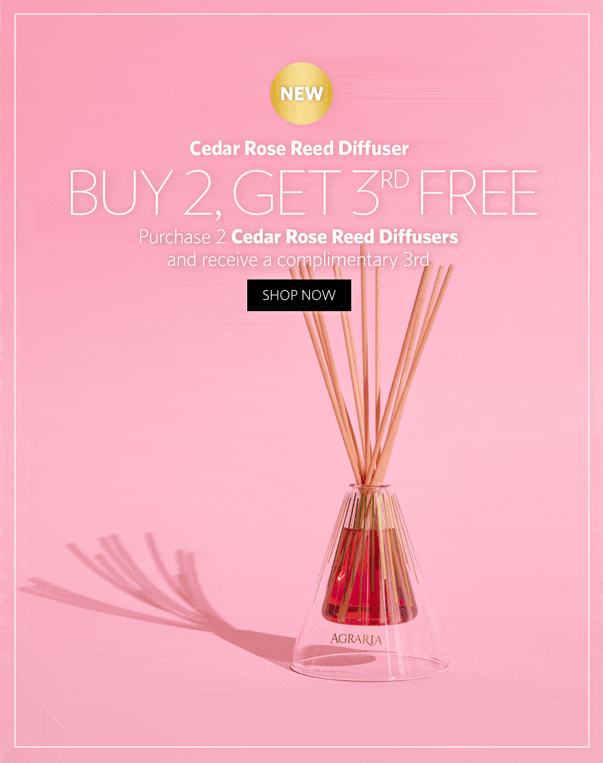 Agraria: NEW ADDITION: Cedar Rose Reed Diffuser with Special Bonus ...