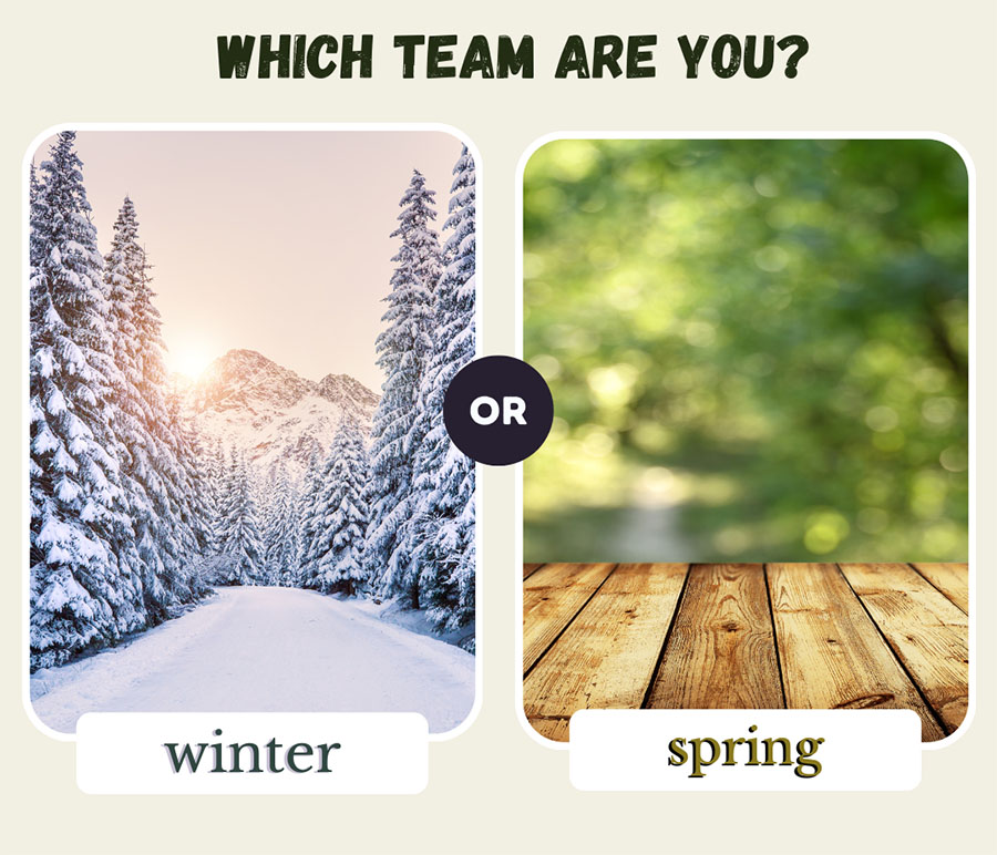 Team Spring vs Team Winter