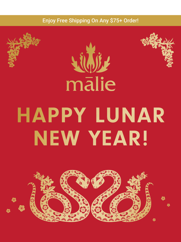 Happy Lunar New Year! 🧧